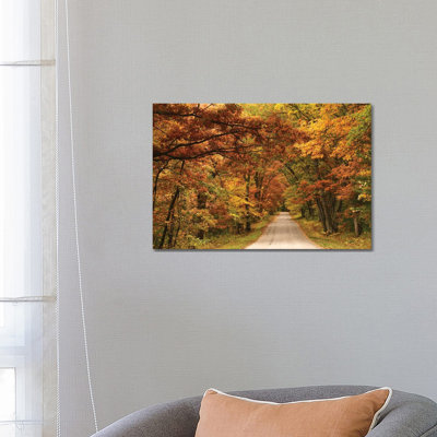 Back Road In Autumn - Wrapped Canvas Print