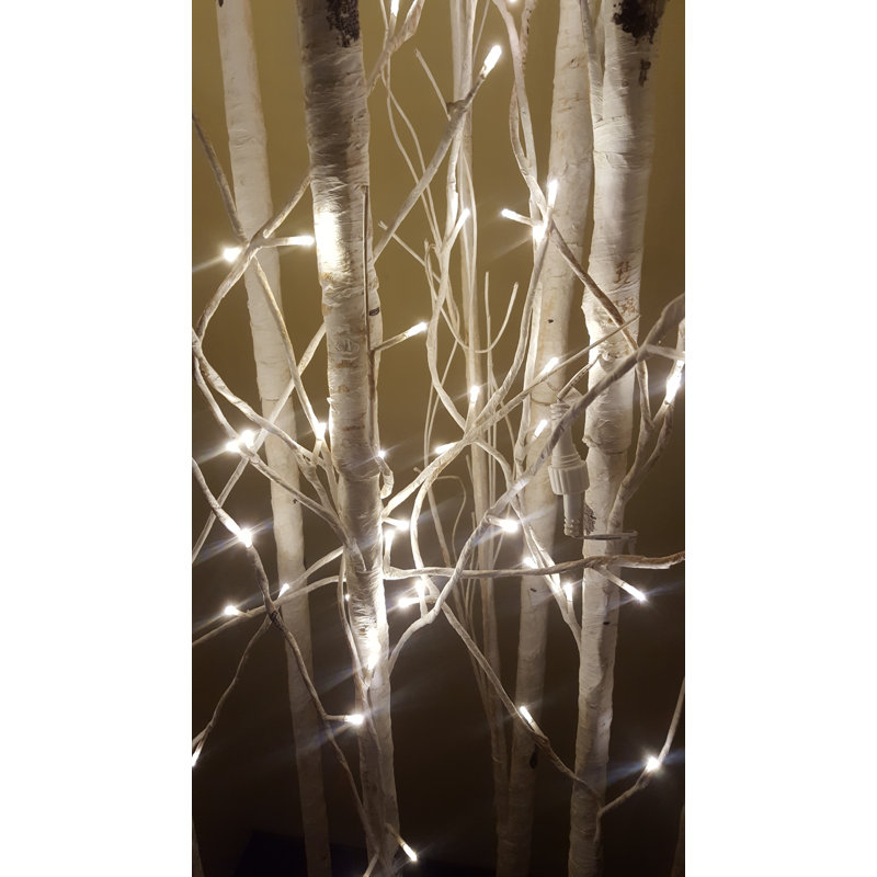 Grand bouleau blanc avec 240 lumières DEL