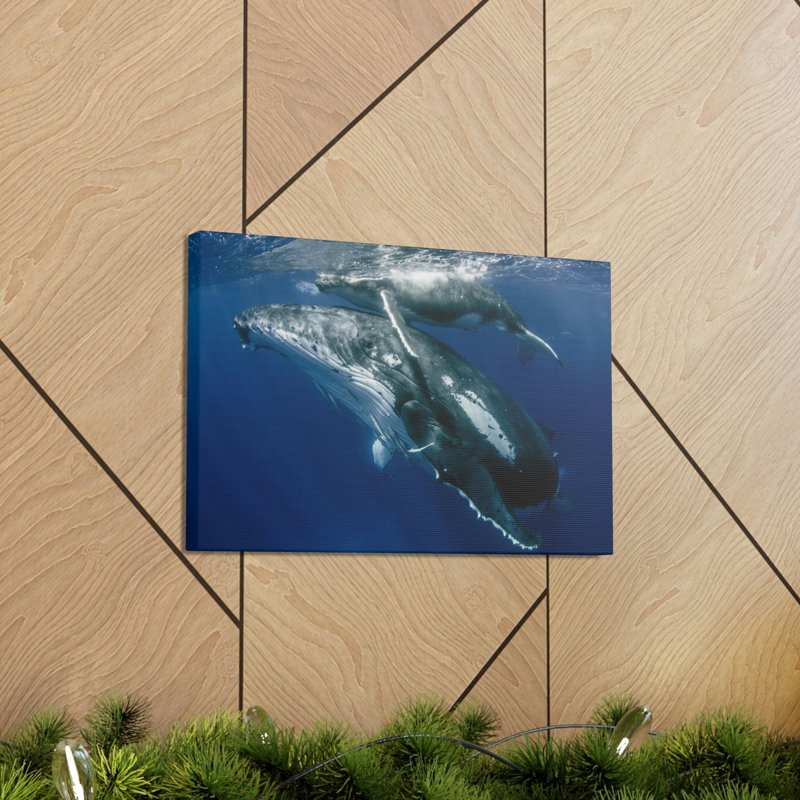 «Whale Couple», impression d'art mural, H 12 po x l 18 po