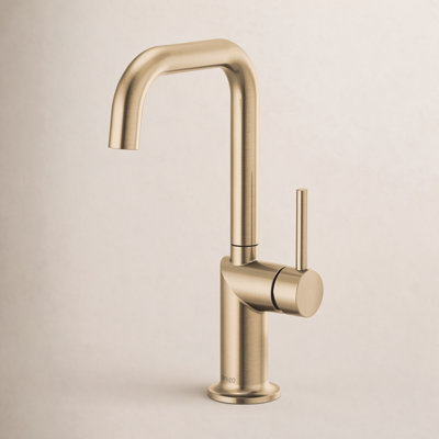 Odin® Bar Faucet with Square Spout