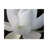 " Delicate Lotus V " by Jim Christensen-33513960