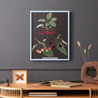 Brookshaw Cherries Framed Print - Solid Wood