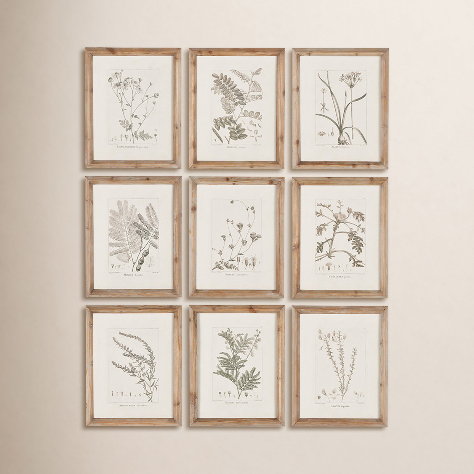 Ridgewood "Botanical" 9-Piece Print Set