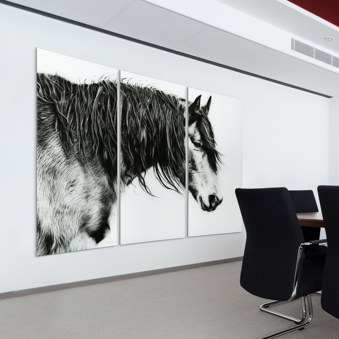 " Black And White Horse Portrait III ABC " 3 - Pieces Empire Art Direct