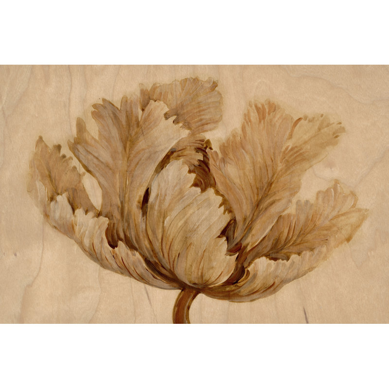 Sepia Tulip On Birch I - Wrapped Canvas Print, 30cm H x 46cm W