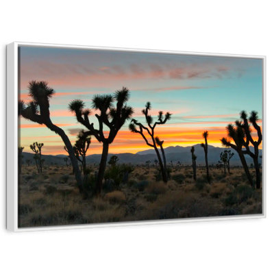 Joshua Tree National Park Sunset