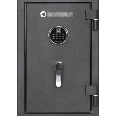 2.02 Cu. ft Biometric Keypad Fire Resistant Safe