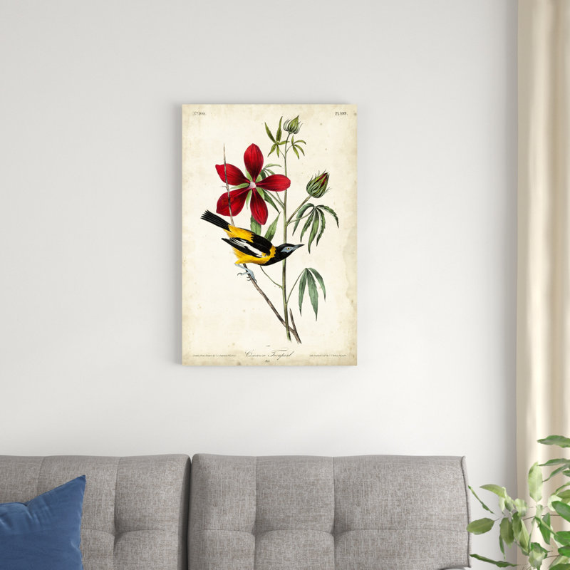 Audubon, oiseau et botanique I, H 30 po x l 20 po x P 1,25 po