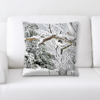 Coussin de l’hiver