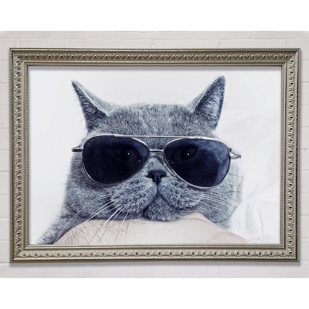 Kitty Cat Cool Gerahmter Druck