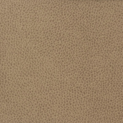 Matter Fabric