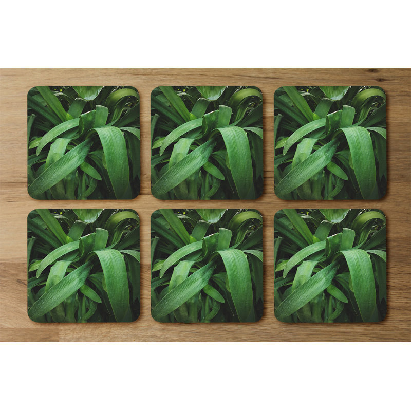 Dozia Square 6 Piece Coaster Set