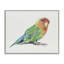 Giclée encadrée de perruche arc-en-ciel, design par Cady-1812183320-1812183327