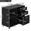 Alday 2 -Shelves Wooden Filing Cabinet-736611403