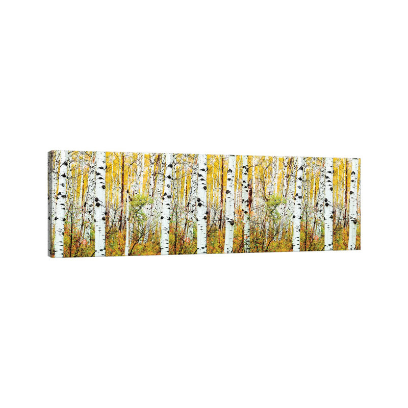 «Aspen Trees Panorama, Colorado» par Susanne Kremer, impression panoramique sur toile, H 24 po x l 72 po x P 1,5 po