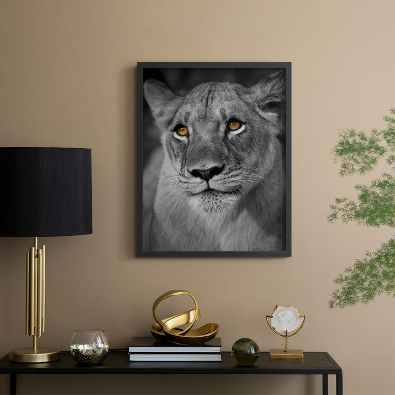 Portrait de lionne, reproduction encadrée - bois massif, H 21 po x l 17 po, Noir, noir, noir, noir