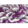 Jabber Floral Indoor Rug