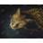 Brown Bengal Cat Modern Polyester Placemat | Home Decor