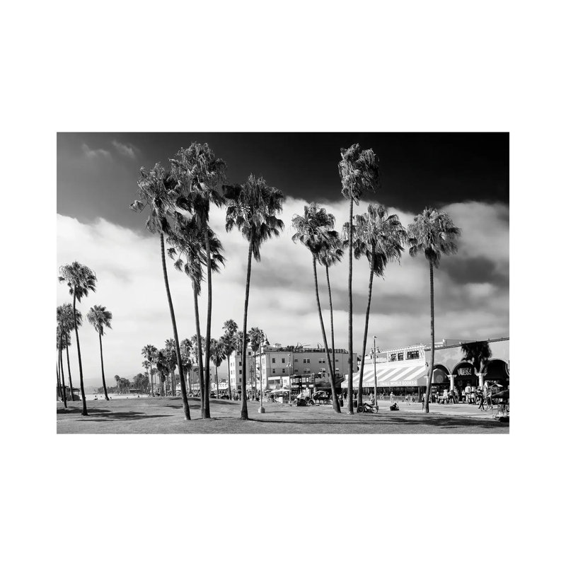 Venice Beach Palm Trees by Philippe Hugonnard - Wrapped Canvas Print, 30.48 cm H x 45.72 cm W
