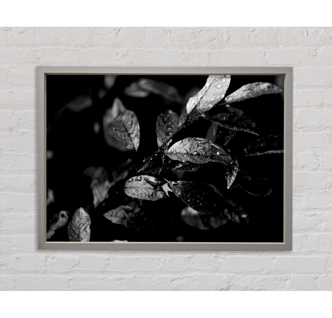 Winter Leaves B N W - Einzelbildrahmen Kunstdrucke auf Leinwand