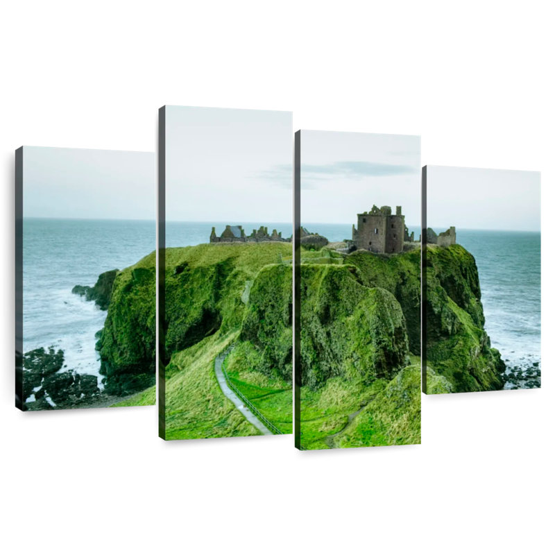 Lilie Dunnottar Castle, H 22 po x l 36 po