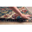 Dimmitt Oriental Indoor Rug-1197724152