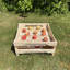 Harji Wood Food Storage Container