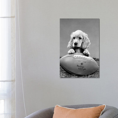 1960s Cocker Spaniel Puppy With Front Paw Resting On American Football by Vintage Images - Wrapped Canvas Print