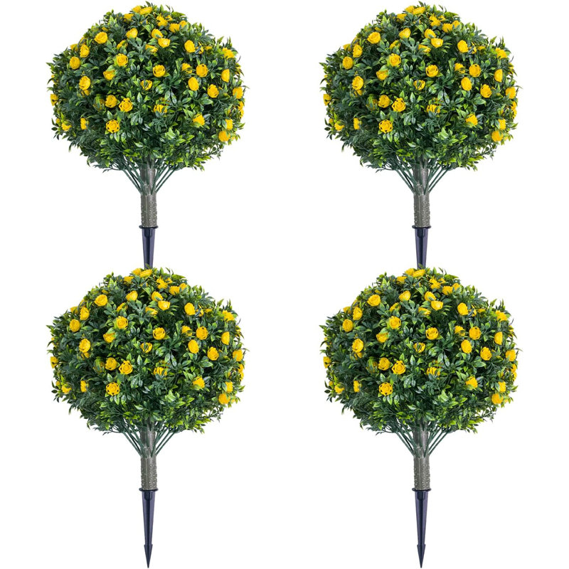 Plant, 4