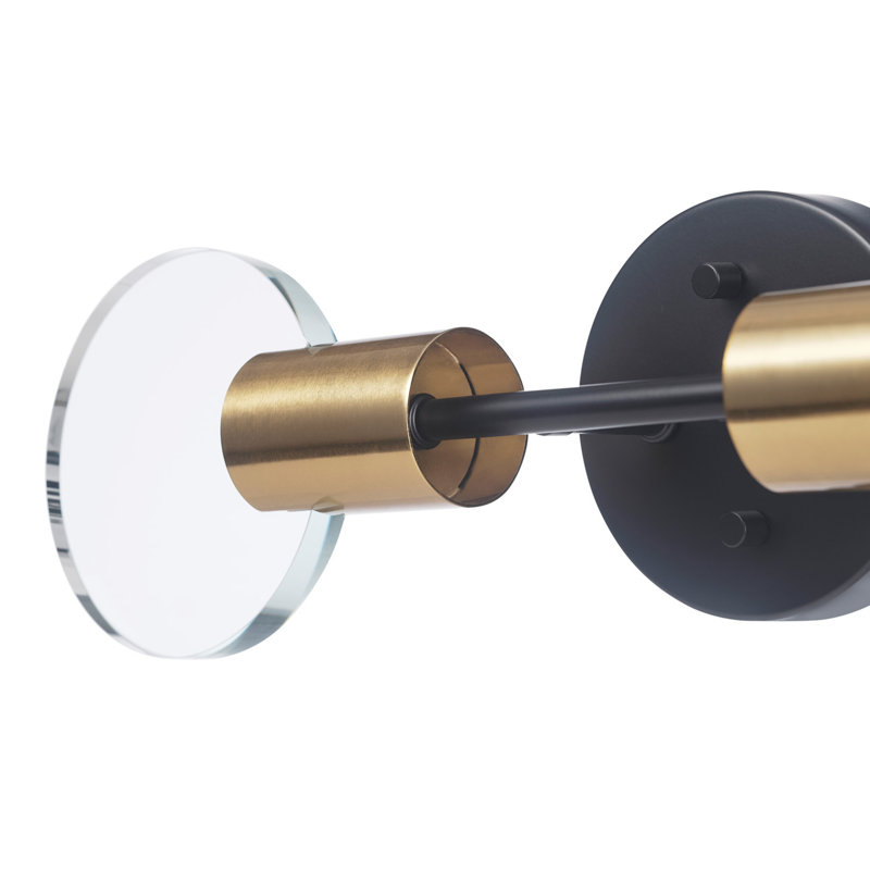 Rayvyn 18" 2-Light Dimmable LED Integrated Matte Black Vanity Light with Matte Brass Accents & Clear Glass