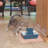 PetSafe Drinkwell Pagoda Pet Fountain, Himalayan Blue-23824871
