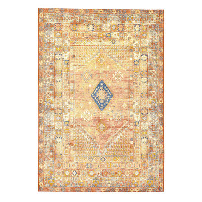 Hand Woven Indoor / Outdoor Area Rug