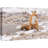 " Fox In The Wild In Winter "-93629322-93629324