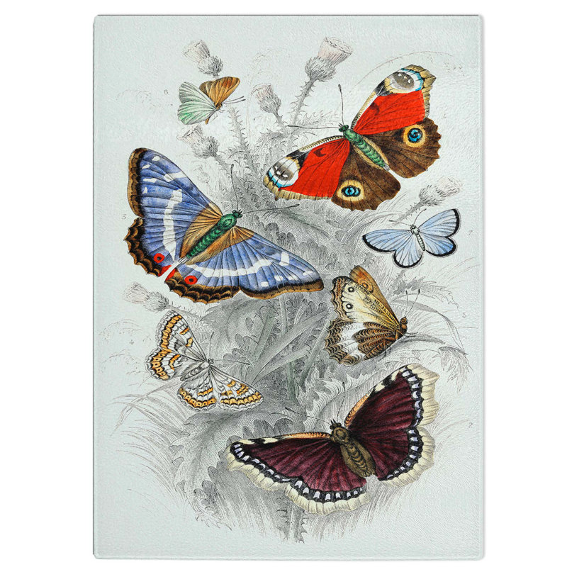 Tempered Glass Assortment of Butterflies Pl. 69 Chopping Board, 28.5 cm W x 39 cm L