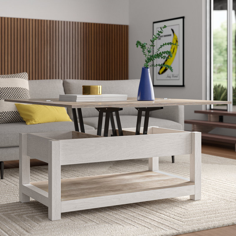 Bojko Lift Top Coffee Table with Hidden Storage