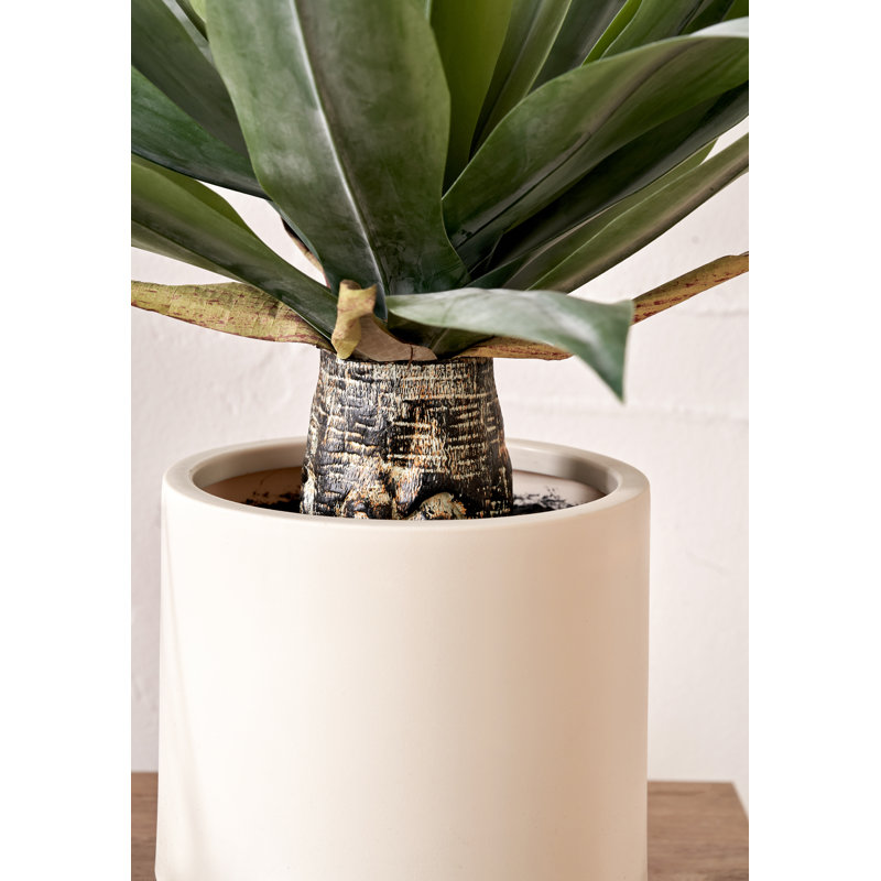 53cm Faux Plant in Cement Pot