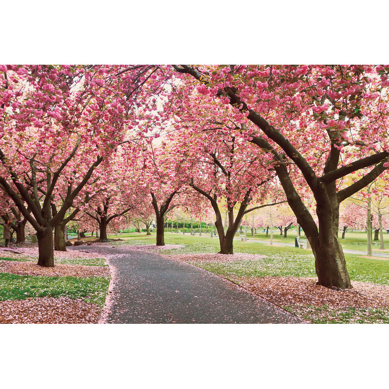 " Cherry Parade " by Katherine Gendreau, 8" H x 12" W x 1.25" D