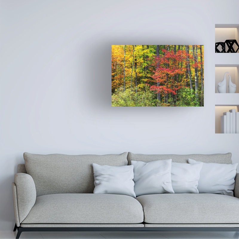 Œuvre sur toile bolich Janice Sullivan Fall New Hampshire Beautiy, H 12 po x l 19 po