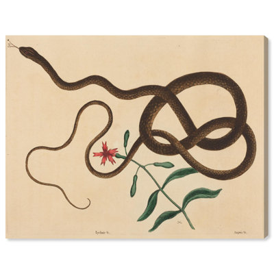«The Coach Whip Snake 1743», célèbre toile par Art Remedy