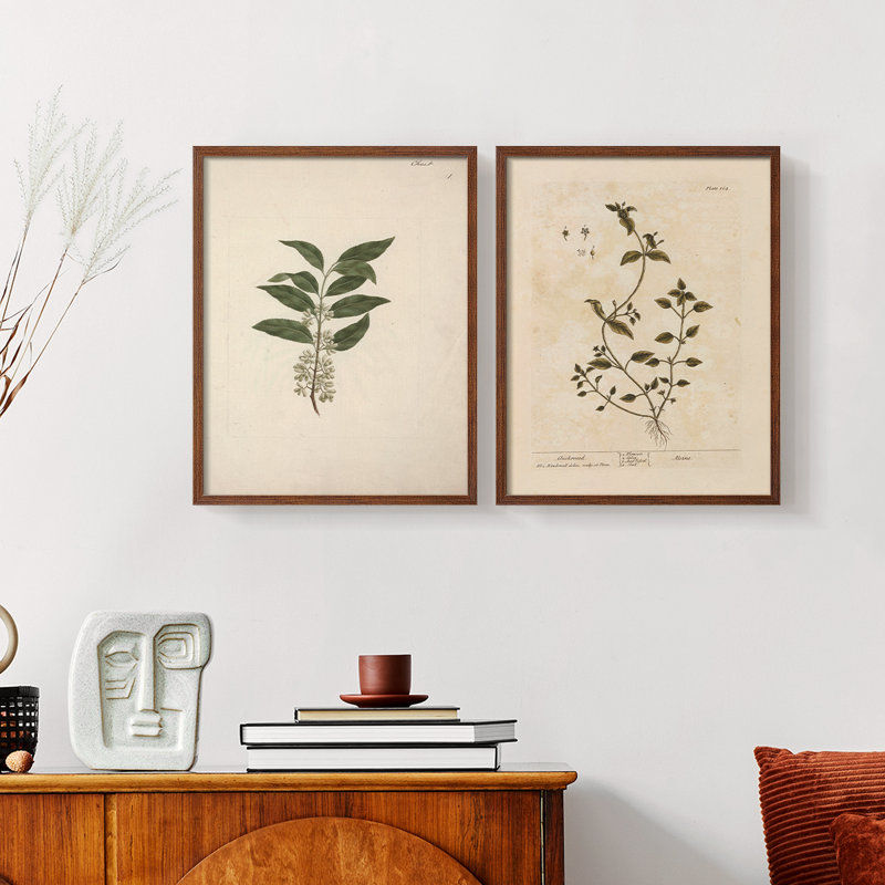 «Vintage Floral XIX», estampe numérique encadrée - ensemble de 2, Noyer, H 12 po x l 30 po