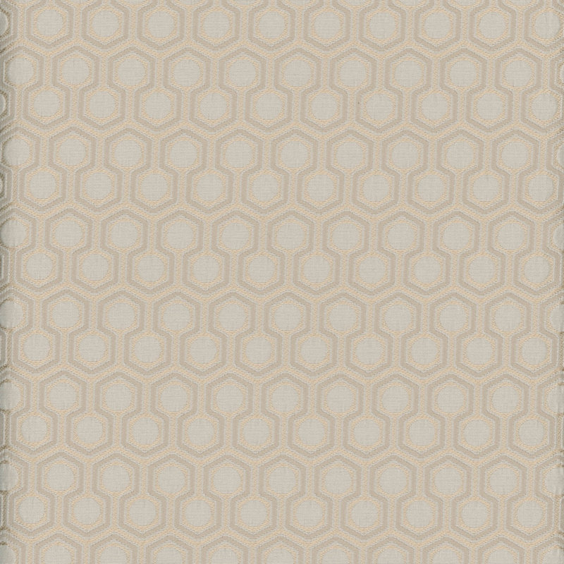 Murray Fabric, Champagne