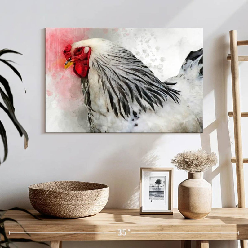 Coq Brampt Brahma, H 16 po x l 24 po