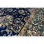 Sona Wool Oriental Area Rug in Navy/Green