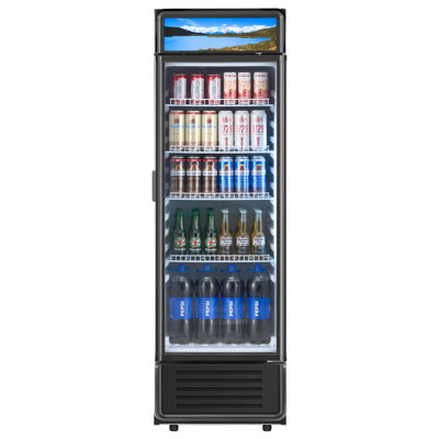 Commercial Merchandiser Refrigerator 9.7 CU.FT Glass Door Beverage Refrigerator