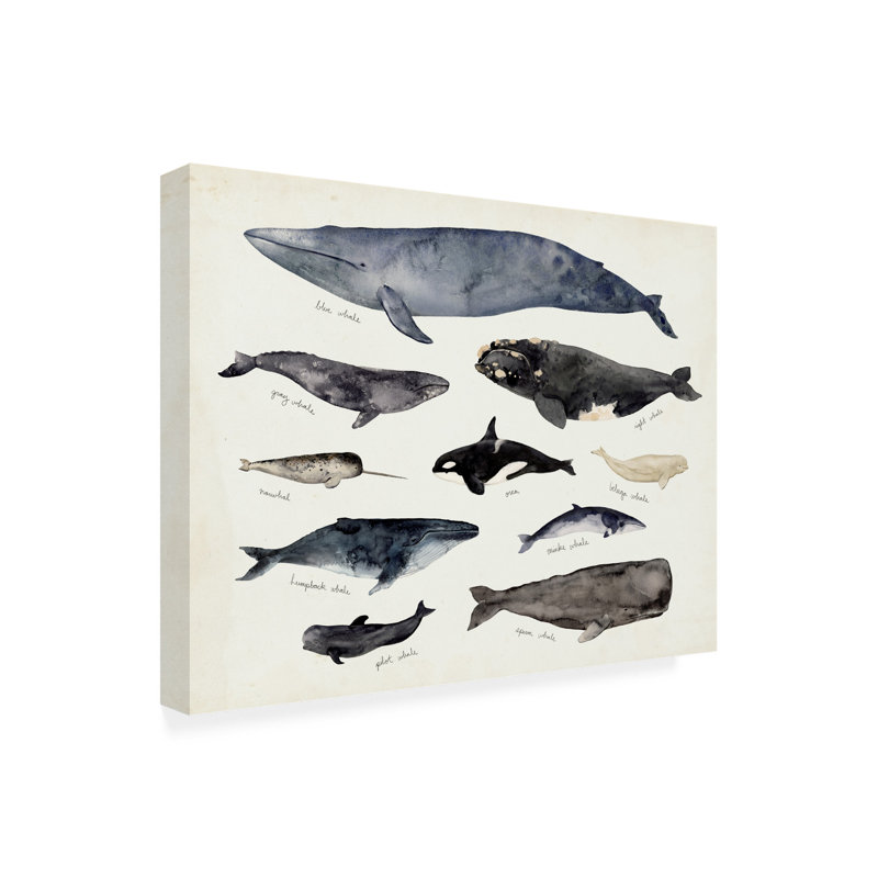 Art graphique sur toile Victoria Barnes, H 14 po x l 19 po