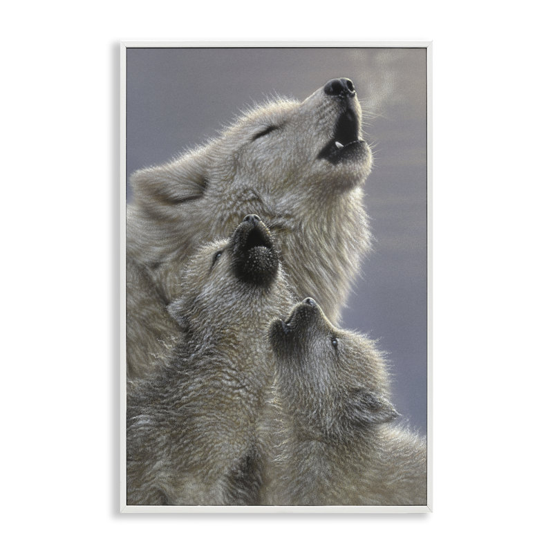 Singing Lessons White Wolves, giclée encadrée, conception par Collin Bogle, H 18 po x l 12 po