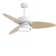 Light Pro LED Indoor Smart Ceiling Fan With Remote Control