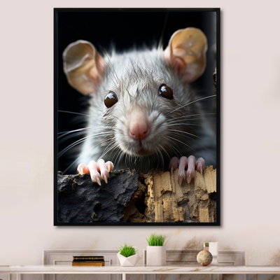 «White Cute Rodent Portrait III», reproduction sur toile encadrée