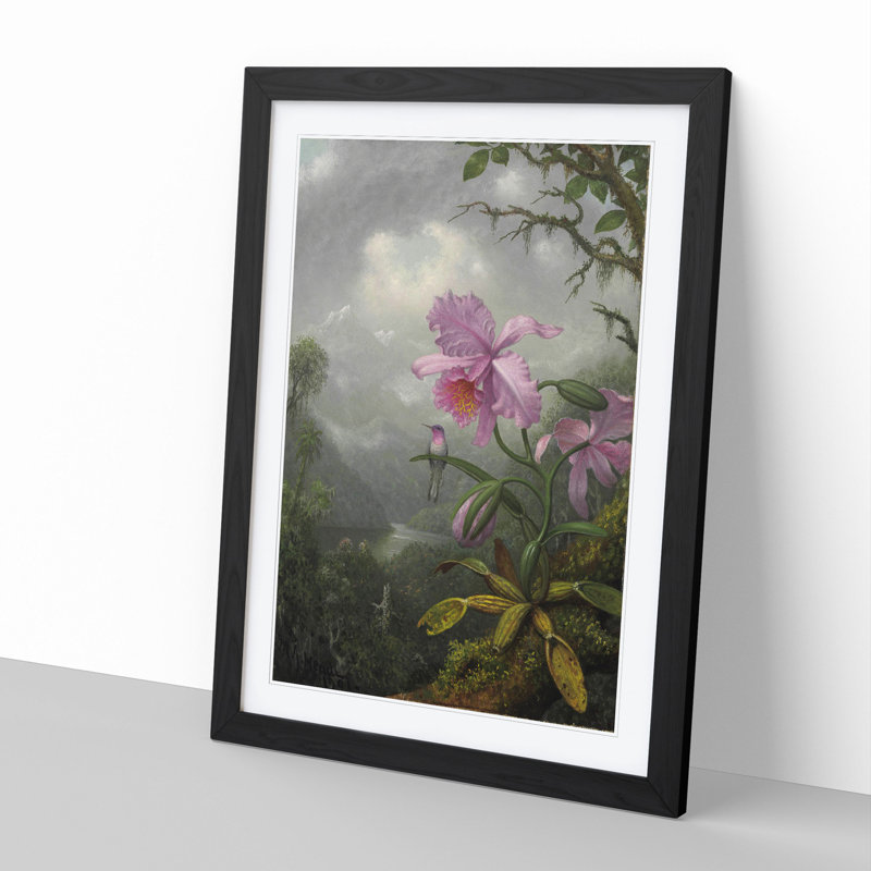 Hummingbird on the Orchid Plant by Martin Johnson Heade - Picture Frame Painting, Black Framed, 48cm H x 36cm W x 2cm D