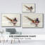 Pheasant Splash 7, reproduction d'art sur toile-92471171-92471170